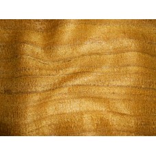 Raw Silk Type 2 Mustard Fabric